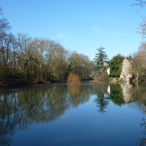 Conseil communautaire