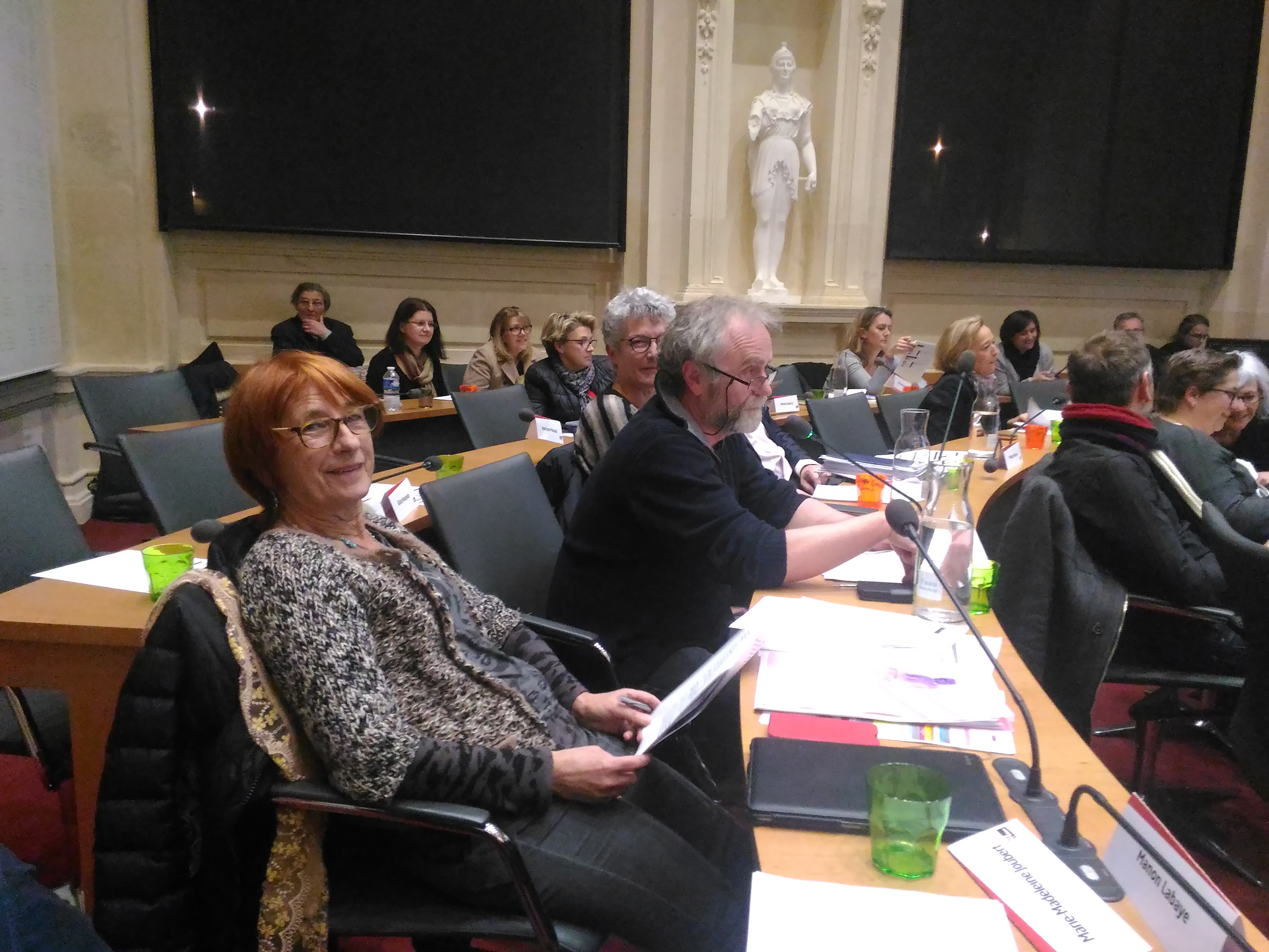 Conseil municipal du 13 février 2017