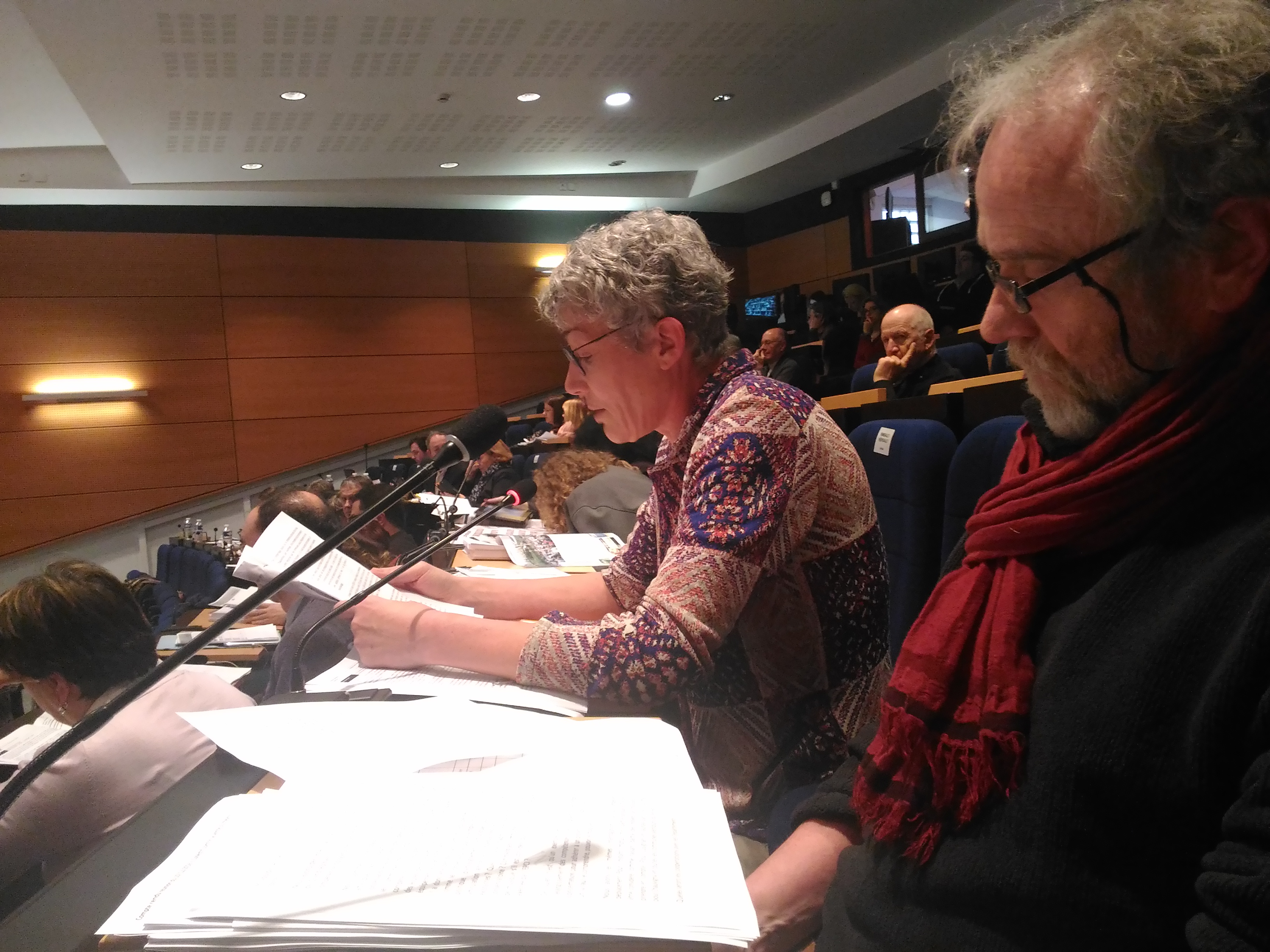 Conseil Grand Poitiers du 17.02.2017_C.Fraysse et J.Arfeuillère