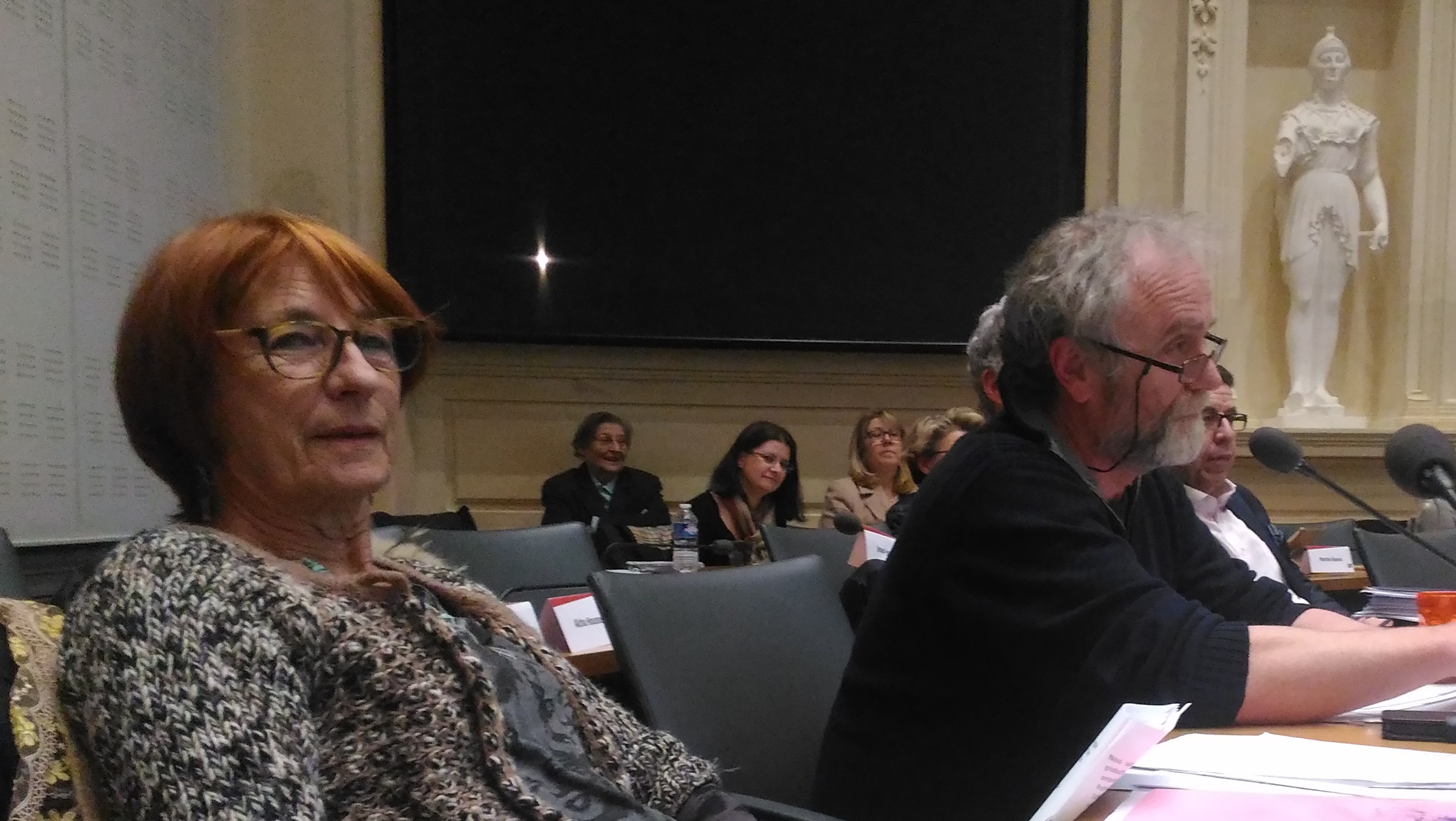 Conseil municipal du 13 février 2017_Jacques et Mad_1